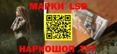 шишки Новозыбков
