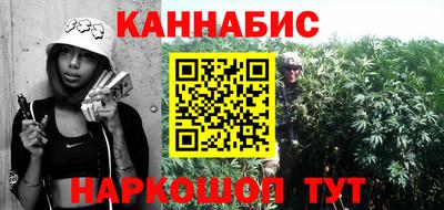 шишки Новозыбков