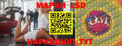 шишки Новозыбков