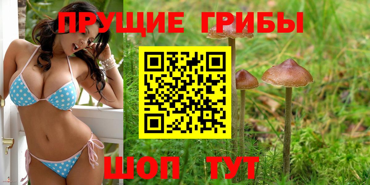 Галлюциногенные грибы мухоморы Выборг